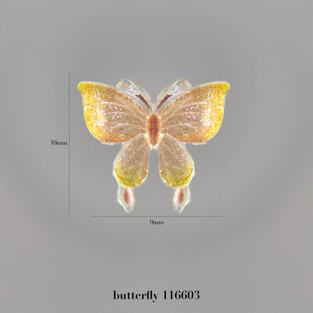 butterfly – wing folio