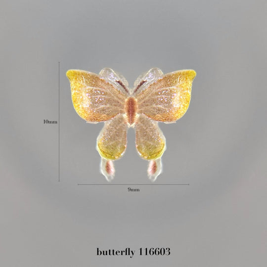 butterfly – wing folio