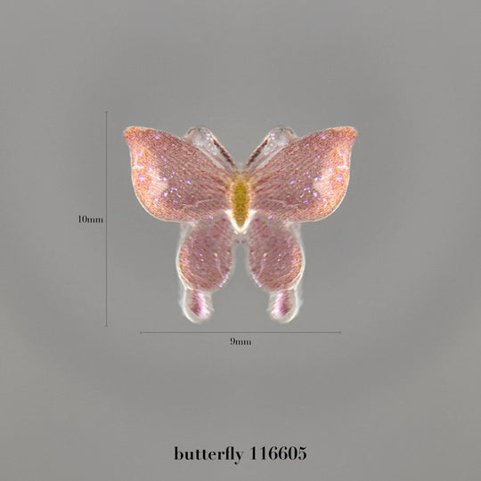 butterfly – wing folio